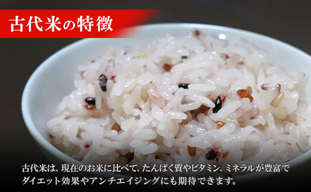 雑穀米 定期便 隔月 3ヶ月 きすみの営農のおいしい 古代米 4種 (270g×4袋) 食べ比べ セット 国産 雑穀 赤米 黒米 玄米 もち米 うるち米 米 お米 ブレンド米 混ぜるだけ 雑穀ごはん 健康 食物繊維 産地直送 兵庫 兵庫県 小野市 計12袋 定期 3回