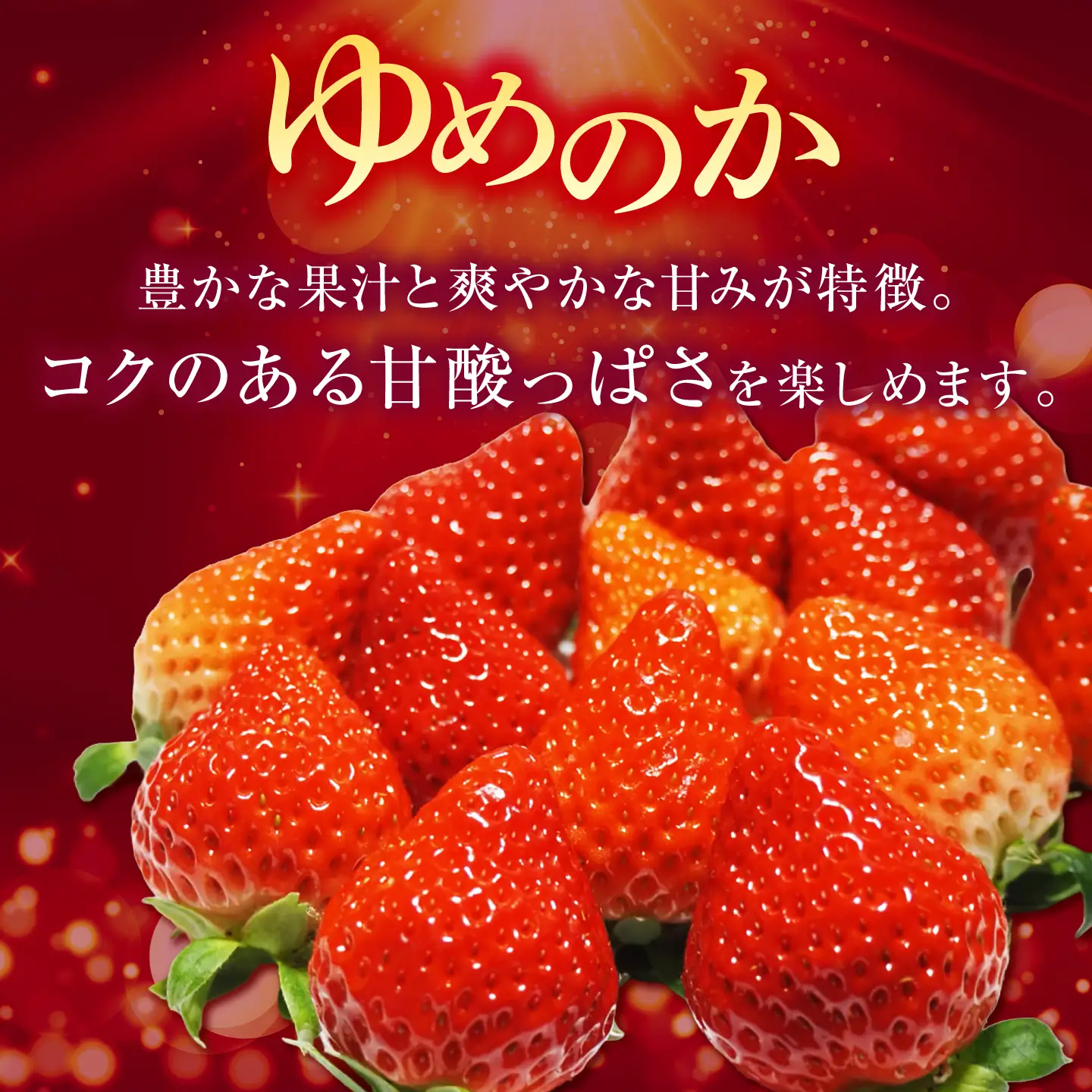 【先行予約】ゆめのか 250g × 2パック【2027年1月以降順次発送】 [JEM005] いちご 苺