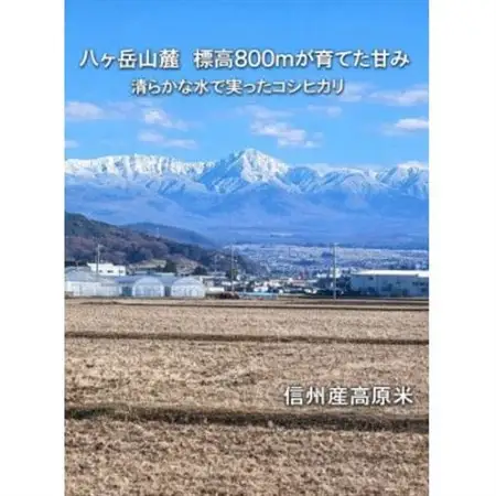 【令和7年産】信州八ヶ岳山麗 長野県産コシヒカリ 精米5kg(5kg×1袋)【1719506】