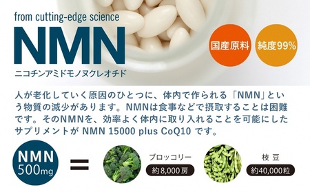 0400-57-01 NMN15000 plus CoQ10 (15,000mgの高配合) ×2箱
