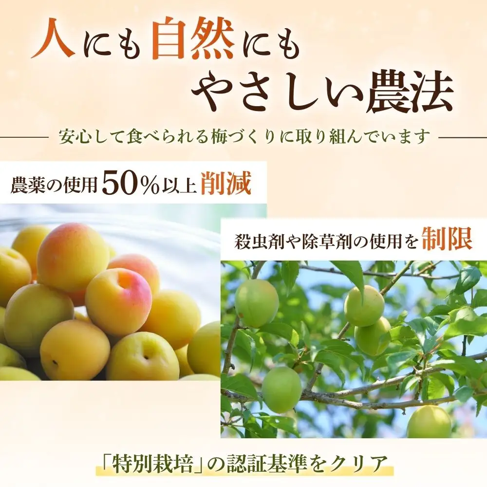 無添加梅干し ひょう被害エール規格外昔ながらの梅干し 塩のみで漬けたすっぱい梅干し 1kg（500gパックx2個）塩分20% 20-HYO baiko017 ［KU13］【baiko017】