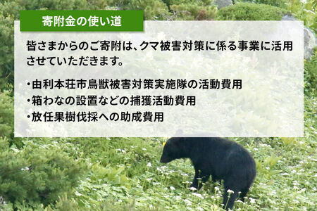 【返礼品なし】秋田県由利本荘市 クマ被害対策支援 5,000円