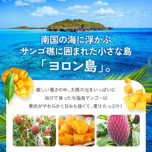 「2026夏発送」★厳選★ 完熟 与論島マンゴー １kg（2～3個）【数量限定】【産地直送】【先行予約】
