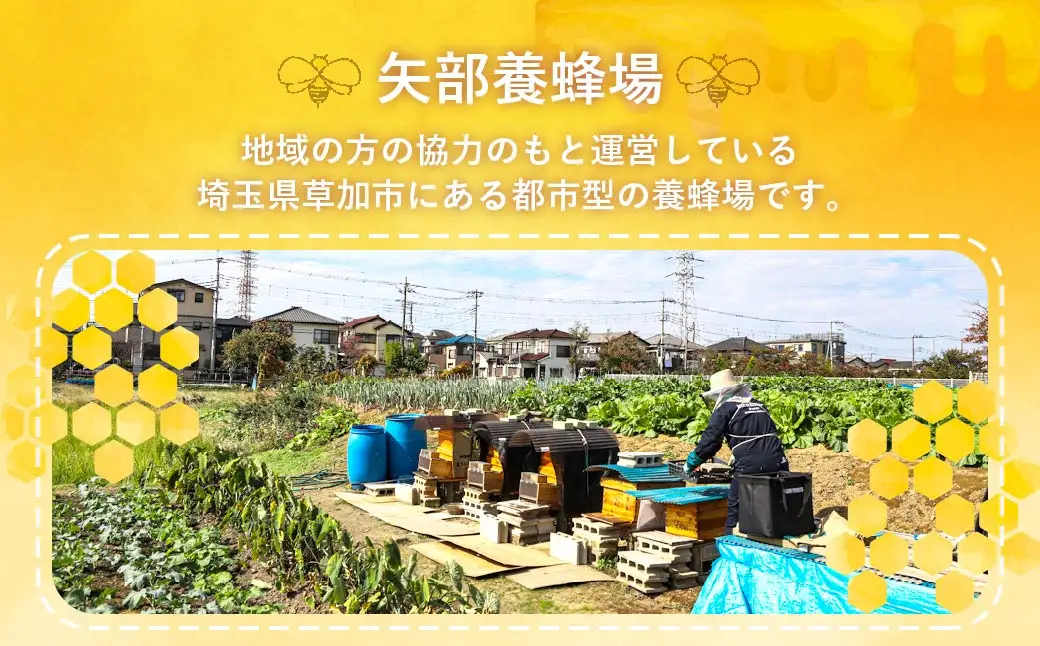 草加産はちみつ1瓶 (約140グラム) 矢部養蜂場の国産天然ハチミツ | はちみつ ハチミツ 非加熱 矢部養蜂園 国産 埼玉県 草加市