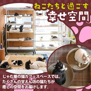 猫まみれになれる猫カフェチケット(2枚) チケット 猫 カフェ 体験 ネコ ねこ 保護猫 動物 カフェ利用チケット 保護猫カフェ 利用券 利用優待券 触れ合い ふれあい 体験型 動物カフェ 癒し 写真撮影 猫好き 【じゃむ屋】as15-004