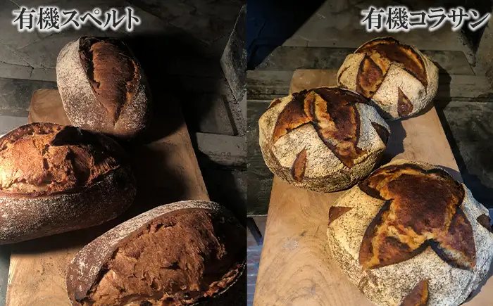 薪窯パン 有機古代小麦を使用したパン 6種詰め合せ VERUM プレミアムセット 【 農家パン VERUM 】 ／ パン ぱん ブレッド ベーカリー 古代小麦 薪窯 薪窯焼き 薪窯焼 石窯パン 石窯 卵不使用 乳製品不使用 乳不使用 自家製発酵種 国産 素材にこだわった 手づくり 手作り こだわり 冷蔵 冷蔵便 東北 岩手県 八幡平市 はちまんたい おすすめ