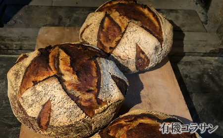 薪窯パン 有機古代小麦3種を使用したこだわりパン 有機古代小麦セレクションB 【 農家パン VERUM 】 ／ パン ぱん ブレッド ベーカリー 古代小麦 薪窯 薪窯焼き 薪窯焼 石窯パン 石窯 卵不使用 乳製品不使用 乳不使用 自家製発酵種 国産 素材にこだわった 手づくり 手作り こだわり 冷蔵 冷蔵便 東北 岩手県 八幡平市 はちまんたい おすすめ