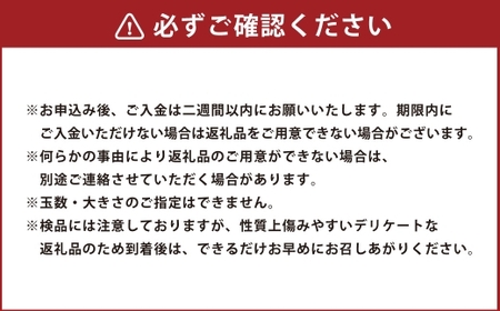 特選太秋柿 3玉  （ 約1kg ）  贈答用 ギフト 太秋柿 柿 フルーツ 果物 ギフト 完熟 【 2026年11月上旬～12月上旬発送予定 】