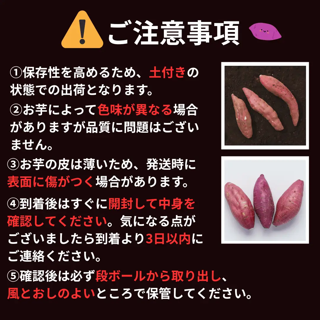 【先行受付】秋田県井川町産　訳あり　紅はるか（生芋）6kg