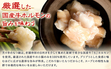 もつ鍋 味噌味 セット ちゃんぽん麵 芳々亭 2～3人前 地域商社ふるさぽ《90日以内に出荷予定(土日祝除く)》福岡県 鞍手町 もつ 鍋 牛モツ 味噌 国産牛もつ100％使用 ラー麦