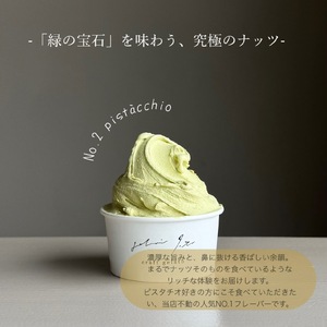 イタリアンジェラート６個セット アイス アイスクリーム イタリアン ジェラート ミルク チョコレート ピスタチオ ヘーゼルナッツ 詰め合わせ 岩手県 北上市 C0610 ジェラテリア イト 湯田牛乳使用 スイーツ おしゃれ