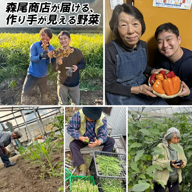 【野菜】新鮮野菜セット ( 7～9品 )