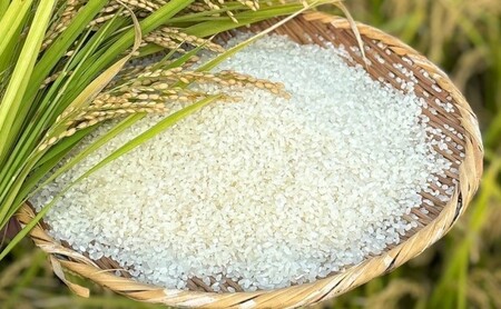 定期便3ヶ月 米 5kg 令和7年度産米 ひのひかり 筑後小郡産 農家直送 3回 お米 コメ お楽しみ