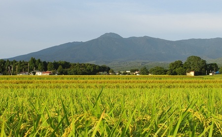 標高200mで育てた棚田米|令和7年・新潟県上越産・にじのきらめき精米10kg(5kg×2袋)　白米 お米 こめ おすすめ ふるさと納税 新潟 新潟県産 にいがた 上越 上越産
