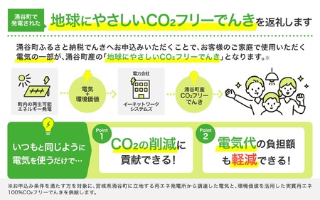 涌谷町CO2フリーでんき 3,000円×3ヶ月コース【※※お申込み前に申込条件を必ずご確認ください】  東北電力 電気 電力 東北 電気代 電気料金 青森県 岩手県 宮城県 秋田県 山形県 福島県 新潟県 でんき【ens001】