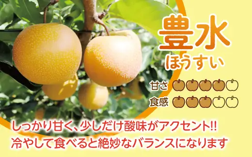 【先行予約】【数量限定】淡海なし　豊水　3kg箱入り（サイズ：2L～7L　5～10個入り）【K129W】スイーツ 果物