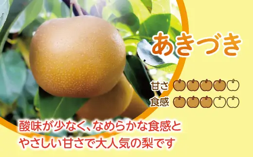 【先行予約】【数量限定】淡海なし　秋月　3kg箱入り（サイズ：2L～7L　5～10個入り）【K130W】 スイーツ 果物