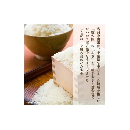 令和7年産 ふさこがね 精米 10kg （ 5kg × 2 ）千葉県 匝瑳市 ／ 米 こめ コメ お米 ごはん ご飯 精米 白米 10kg 5kg ふさこがね 令和7年産 JA 農協 ちばみどり ちばみどり農業協同組合 千葉県 匝瑳市 送料無料