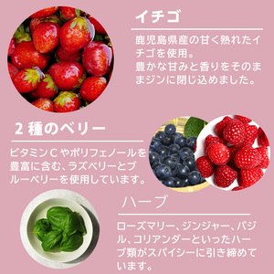 No.359-F 国産クラフトジン KOMASA GIN(45％) 苺-Color-Edition(500ml×2本・計1000ml) 酒 スピリッツ 焼酎 クラフトジン 柑橘 お茶 常温 常温配送 常温保存 【小正醸造】