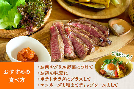 調味料 たべるパプリカアリッサ 90g 2個 セット