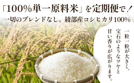 【定期便3回】 聖米(玄米) 5kg×3回 | 米 お米 こしひかり 玄米