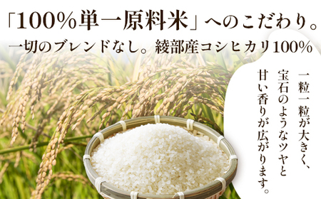 「聖米」 白米 10kg | 米 お米 こしひかり 白米 精米