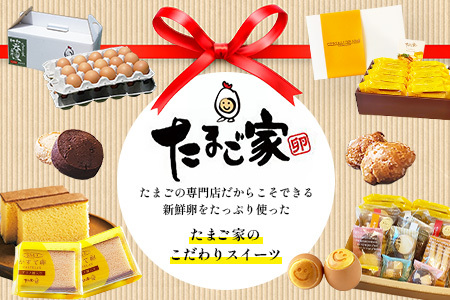 たまご家のカステラ　さがかすて卵ギフト 10個入りセット【個包装で嬉しい】ふるさと納税 カステラ 個包装 濃厚 こだわり卵 お中元 お歳暮 内祝い 贈答 贈り物 鹿島市B-906