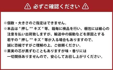 あたご梨 3玉 約500g 合計約1.5kg以上 化粧箱 梨 ナシ なし 愛宕梨 あたごなし ジャンボ梨 【2026年11月下旬～12月下旬発送予定】