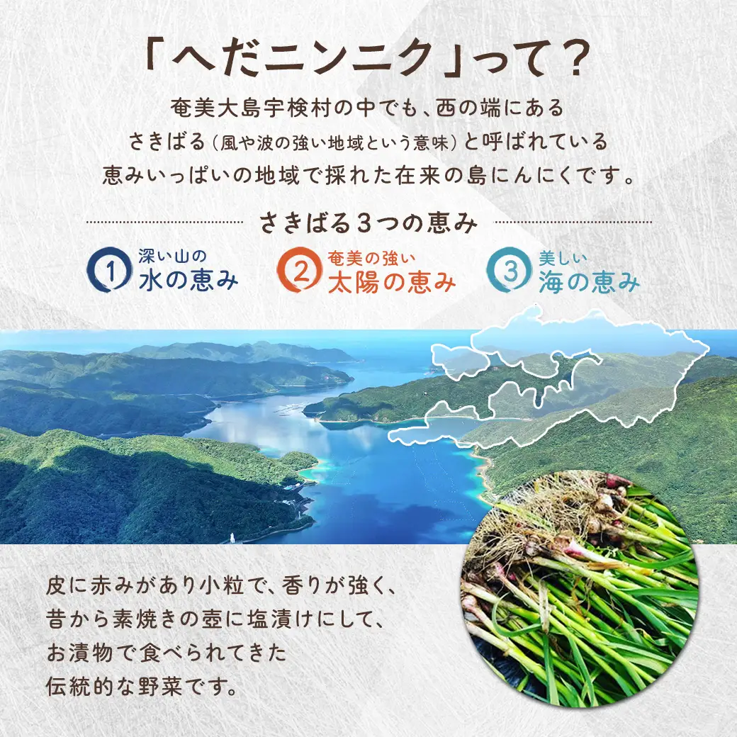 【先行予約】【2026年5～6月頃順次発送予定】ざくざく島ニンニク 2個セット 油漬け 無農薬 辛口 スタミナ 国産 宇検村 数量限定 期間限定 奄美大島 鹿児島県 送料無料