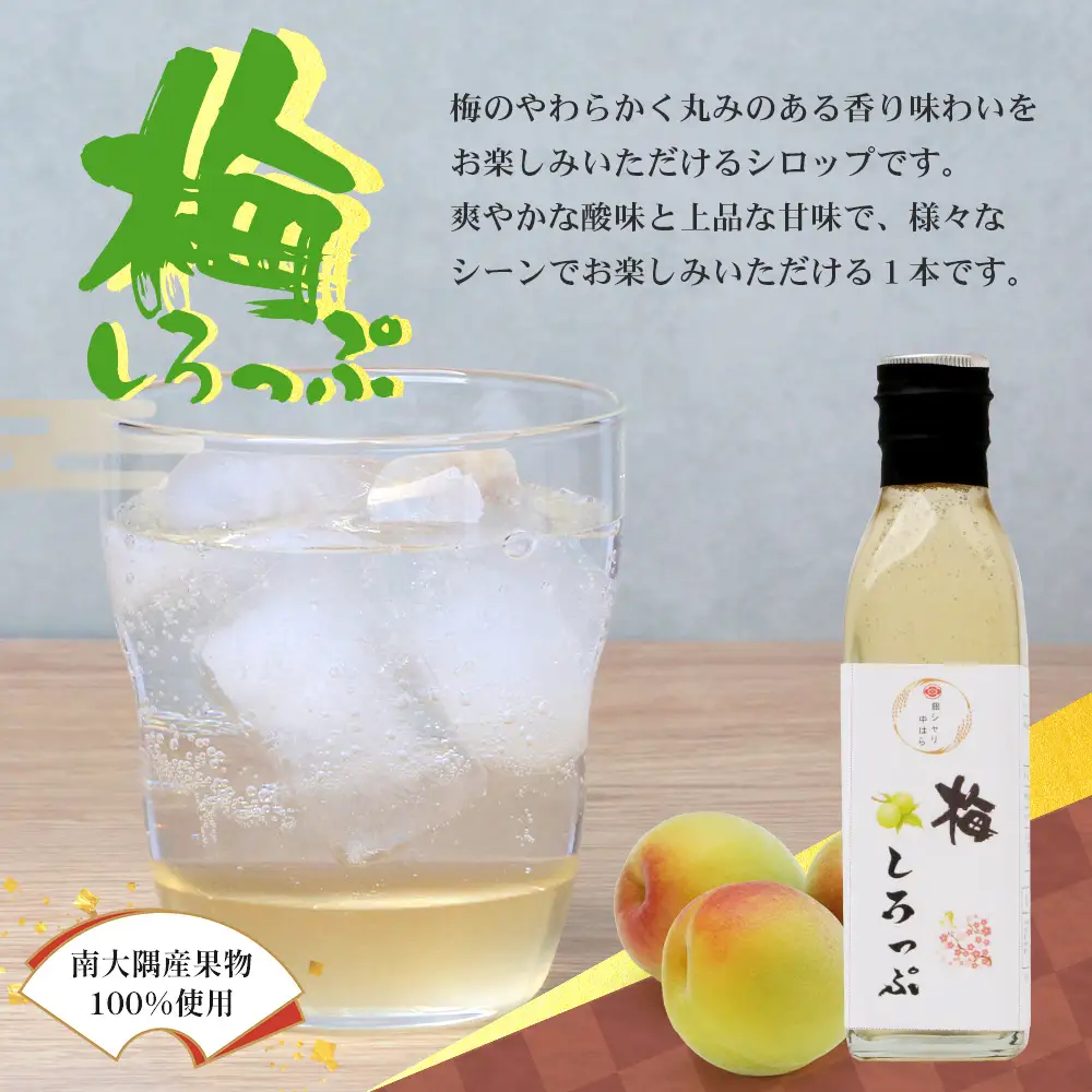 【数量限定】日本料理人が作る シロップ 3種類 Bセット/辺塚だいだいシロップ・梅シロップ・生姜シロップ (各240ｇ×1瓶) GN-15｜鹿児島県 南大隅町 果物 うめ ショウガ しょうが フルーツ シロップ 希釈 甘み 酸味 甘さ控えめ お菓子づくり 手づくり 新鮮 旬 銀シャリ中はら