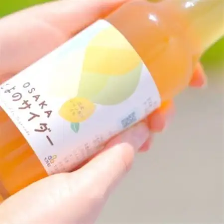 大阪府豊能町ご当地サイダー|とよのサイダー【6本セット】【1703024】