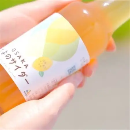 大阪府豊能町ご当地サイダー|とよのサイダー【12本セット】【1703035】