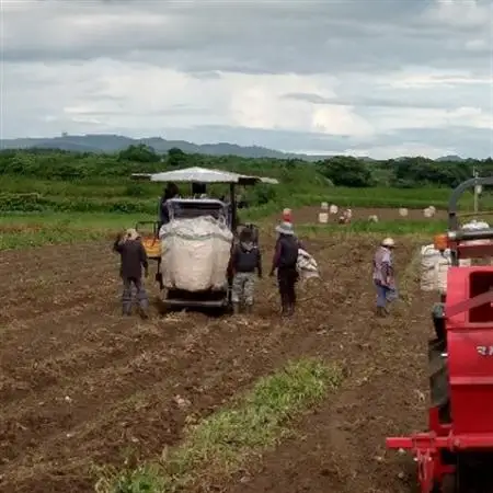 【本格焼酎】南之方　1800mlパック×6パック D5-1【配送不可地域：離島】【1720397】