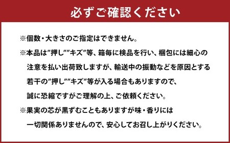 鴨梨（ヤーリー） 6～13玉 合計約4kg ご家庭用 梨 ナシ なし 【2026年11月下旬～12月下旬発送予定】