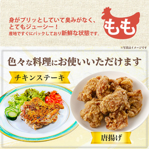 No.1357-A 鹿児島県産若鶏もも肉(計約2kg・500g×4P) 国産 九州産 鹿児島県産 鶏肉 若鶏 とり肉 もも肉 モモ肉 小分け 肉 冷凍 おかず お弁当 おつまみ 唐揚げ チキン南蛮 サラダチキン 【南九フーズ】