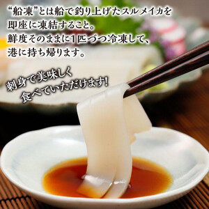 【復興支援】船凍するめいか 約1.2kg 6杯 ( 2杯 × ３袋 )小分け 個包装 刺し身 海産物 魚介類 獲れたて 急速冷凍 新鮮 刺身 さしみ 烏賊 人気 おすすめ ご当地グルメ カルパッチョ パスタ いかめし 煮物