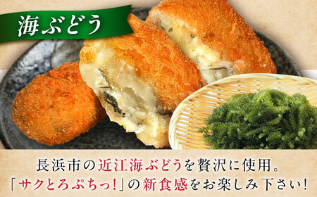 クリームコロッケ12個セット [AQBA022] クリームコロッケ