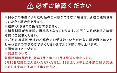 【 7月～11月発送不可 】 ミディトマト はなひめ 1kg とまと トマト 野菜 やさい フルティカ オリジナルブランド 国産 福岡県産