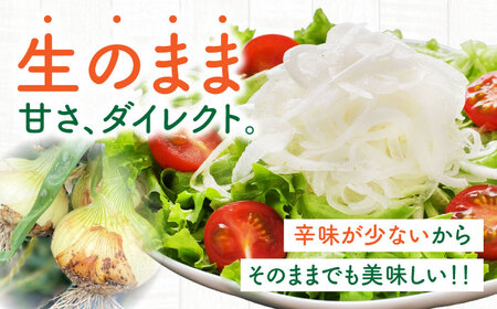 【2027年3月-発送】たまねぎ 5kg / タマネギ 玉葱 玉ねぎ 野菜 やさい カレー シチュー バーベキュー スープ サラダ / 南島原市 / 城谷農園[SGV001]