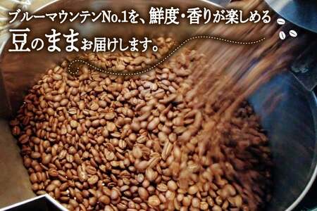 コーヒー豆「ブルーマウンテンNo.1」100g [珈琲Chiba 福岡県 筑紫野市 21761094]