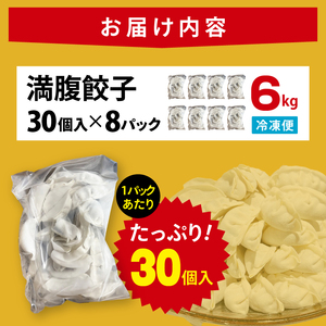 満腹餃子 リピーター続出！ボリューム満点！240個（6kg）（EJ-19）