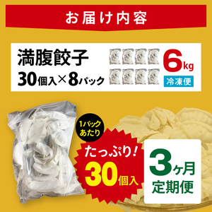 【3ヶ月定期便】満腹餃子 リピーター続出！ボリューム満点！240個（6kg）×3回（EJ-20）
