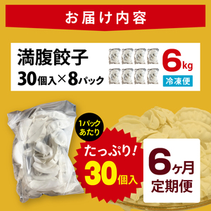 【6ヶ月定期便】満腹餃子 リピーター続出！ボリューム満点！240個（6kg）×6回（EJ-21）
