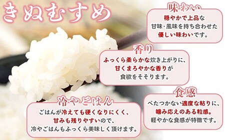 【期間限定寄附額】最高評価「特A」令和7年産 岡山県産米　「きぬむすめ」 10kg(5kg×2袋)　＜8月発送＞