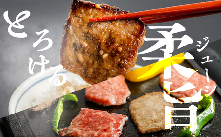 【訳あり 不揃い】飛騨牛 カルビ 焼肉用 250g 