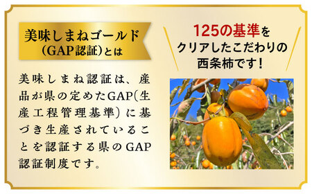 【数量限定10個】【先行予約/12月上旬より順次発送】美味しまねゴールド認証取得！松江市産 西条柿 干し柿 【柿化粧】　10個入り（約50g×10個）大粒　個包装　島根県松江市/mishiro farm[ALIJ006]