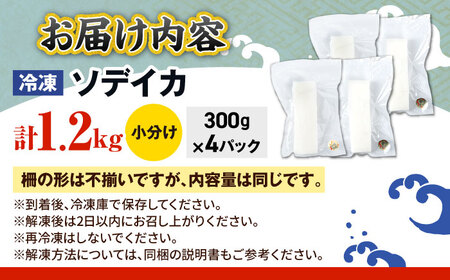 冷凍セーイカ (そでいか) 1.2kg (300g ×4パック) 沖縄市 / 沖縄市漁業協同組合 パヤオ直売店[BCDZ009]