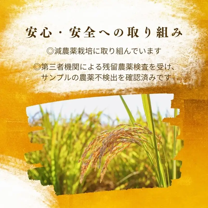 【令和7年産】福岡県飯塚市産 夢つくし 5kg(精米)【A9-024】