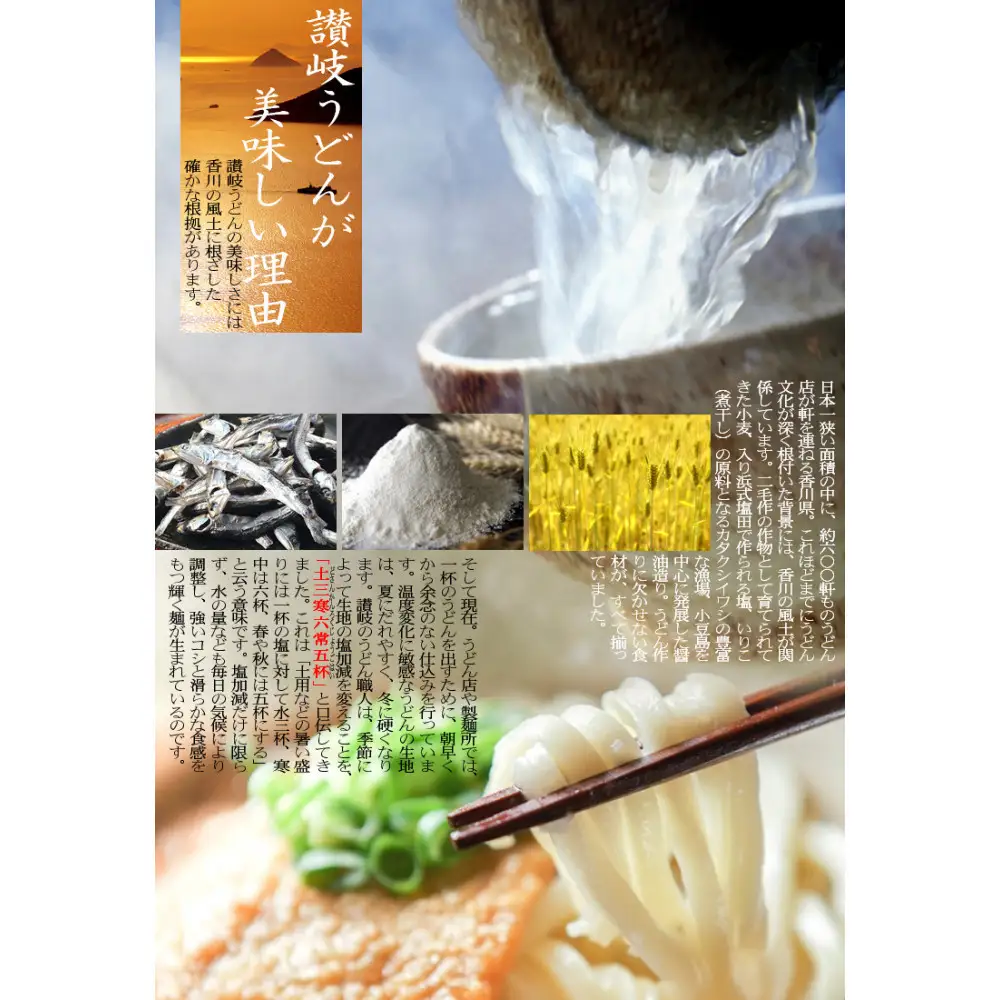 冷凍さぬきうどん 麵処 春奈 イクヱばぁちゃんの肉うどん6人前
