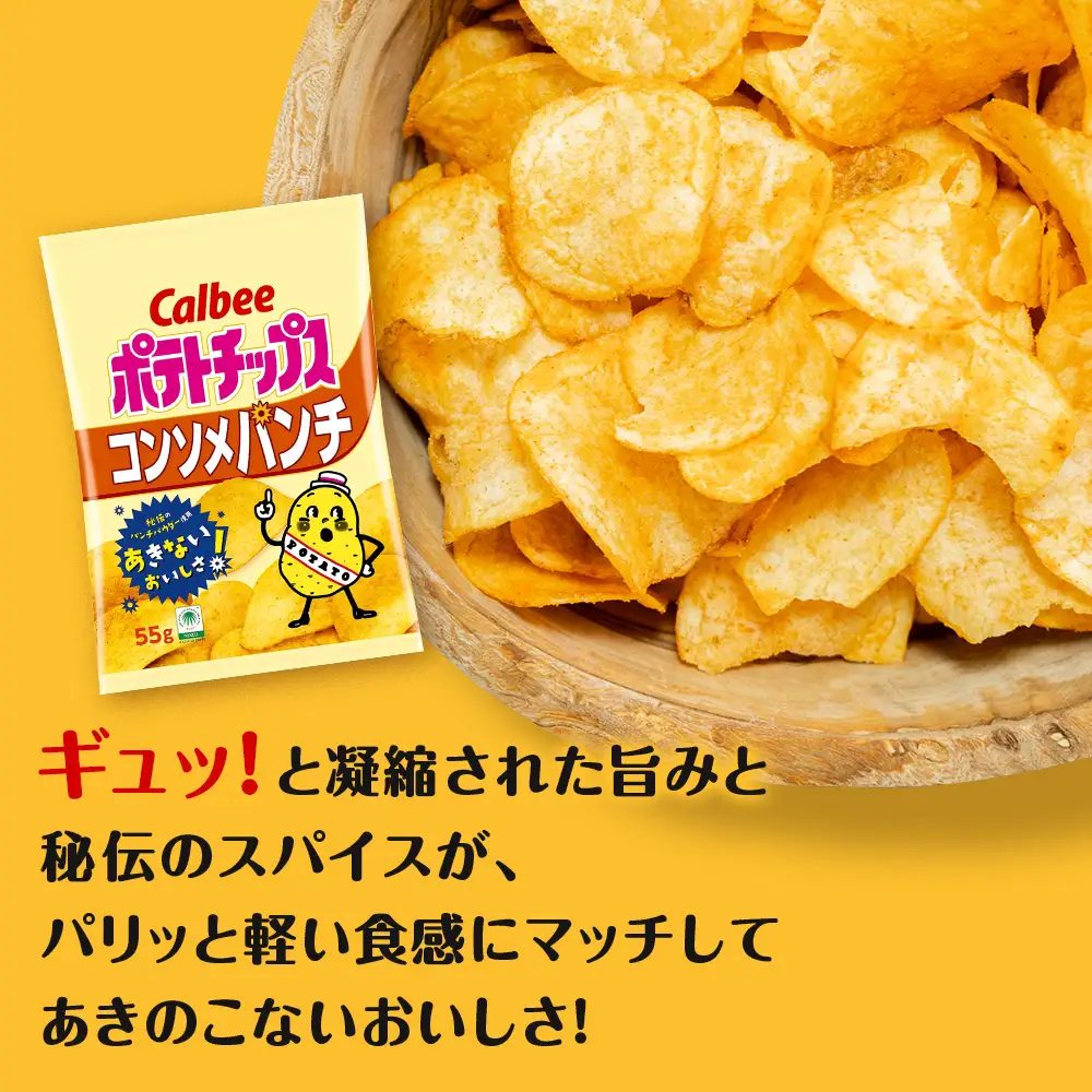 【定期便5カ月】カルビーポテトチップス 2種セット うすしお・コンソメパンチ 各8袋 《千歳工場製造》
